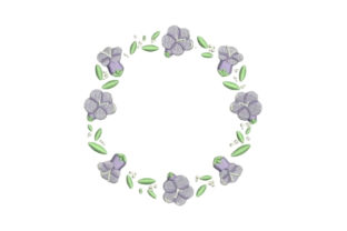 Jacaranda Frame: A Designer’s Review